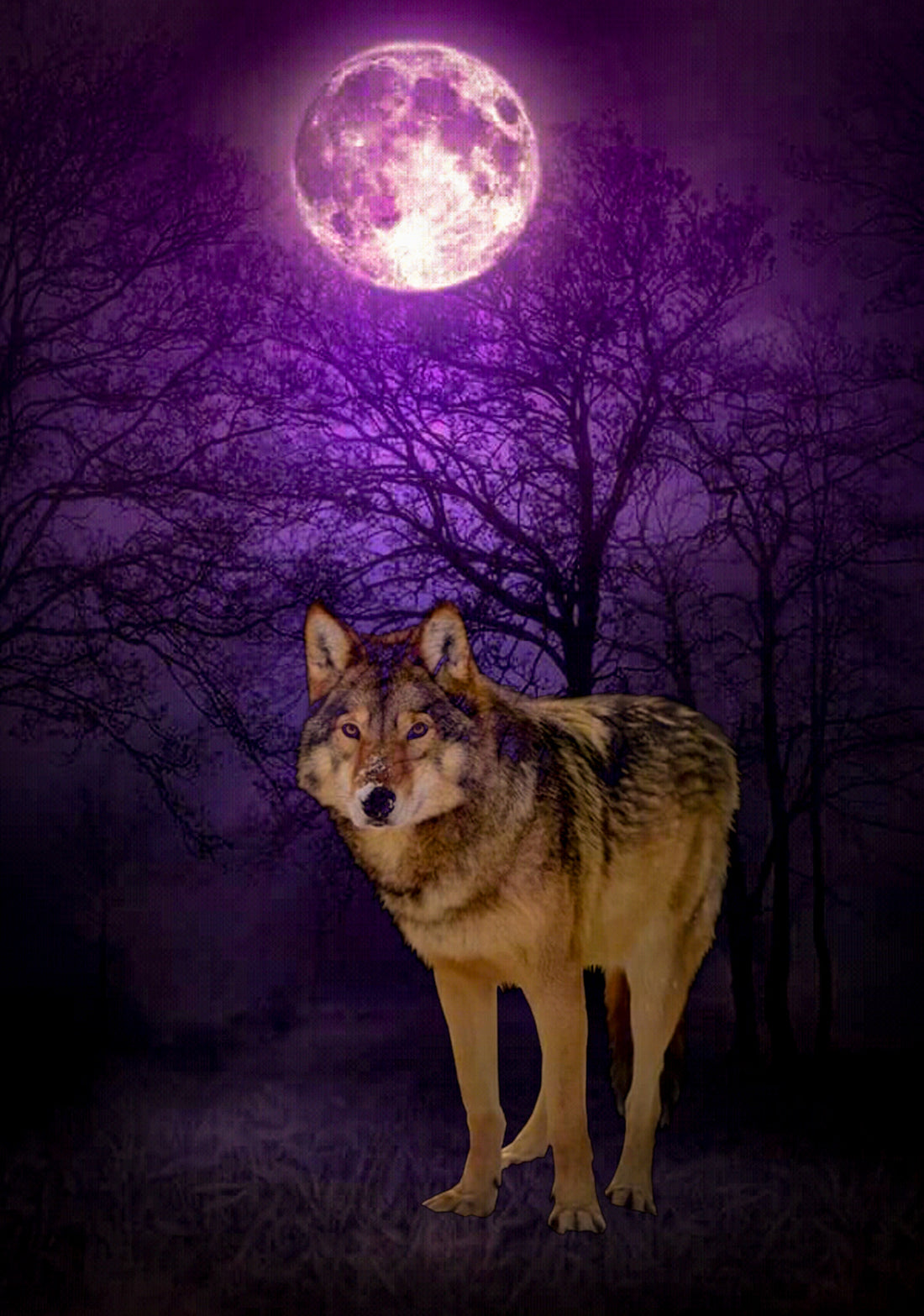 Wolf Moon 2022